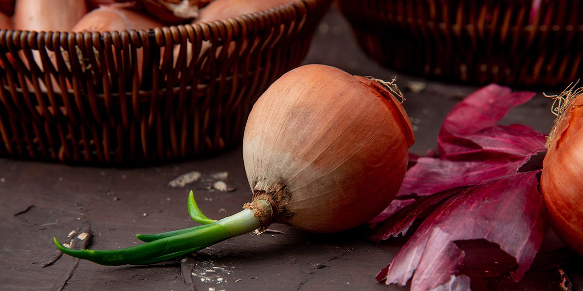 Comment éviter que vos oignons ne germent et ne pourrissent : 4 astuces de grand-mère