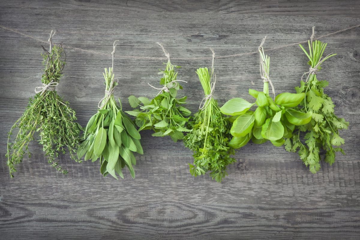Comment conserver les fines herbes plus longtemps ?