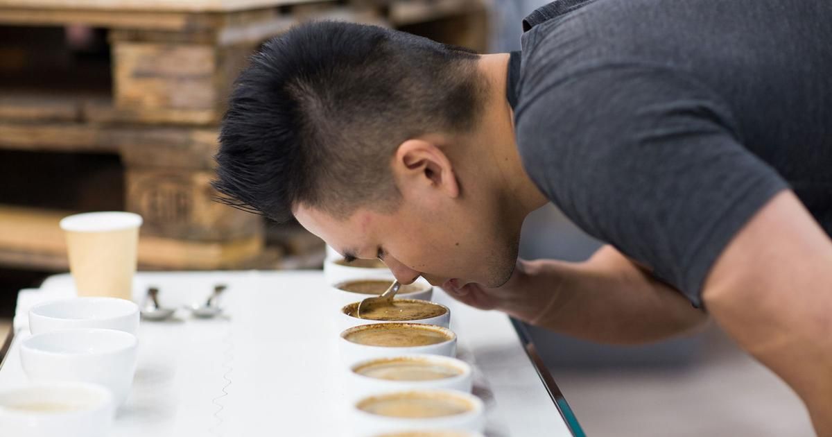 Découvrez l'art du cupping : comment devenir maître en dégustation de café