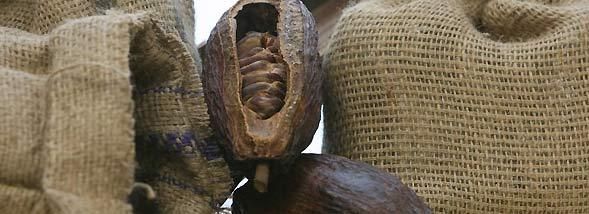 Les secrets gourmands de Valrhona : une visite en chocolat