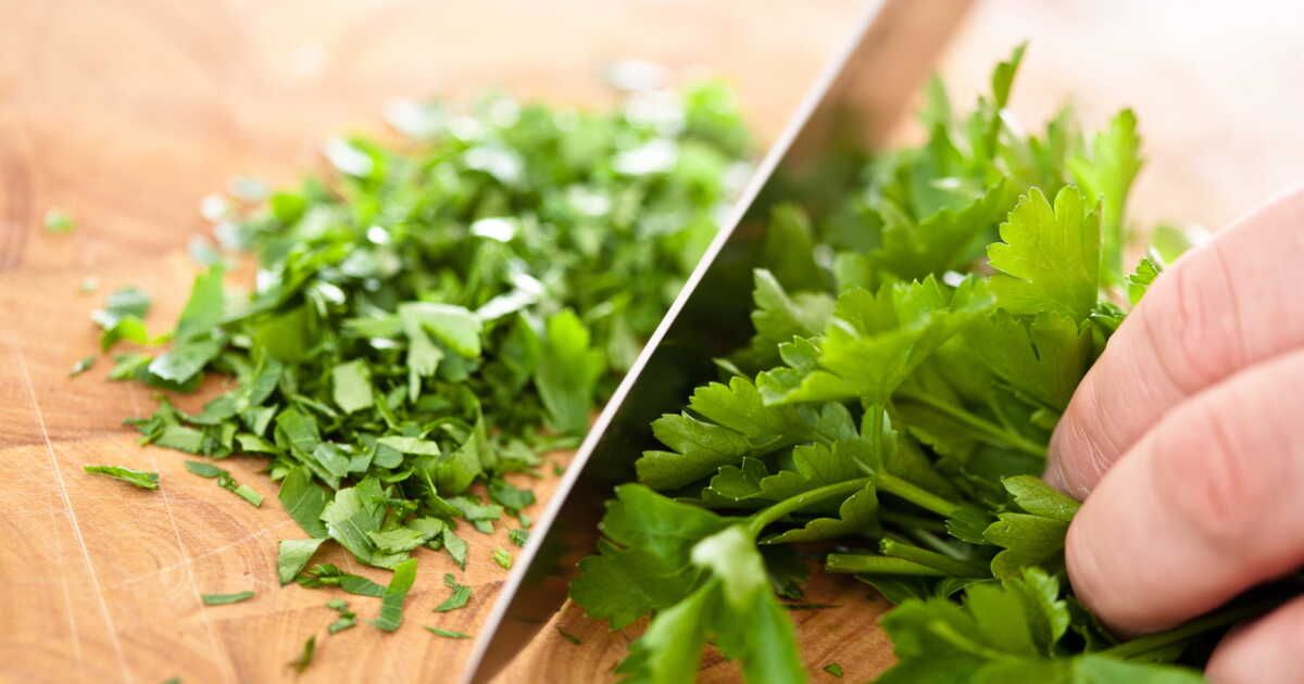 Astuces pratiques pour préserver la fraîcheur du persil