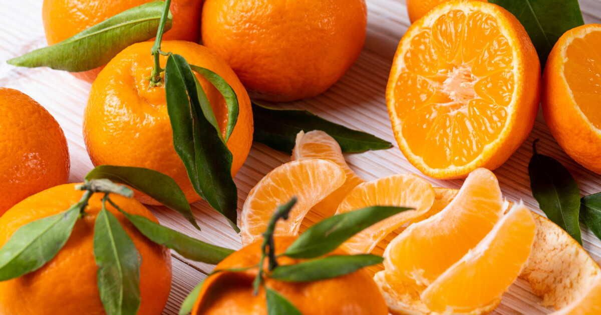 clémentine et mandarine : subtilités à découvrir cet hiver