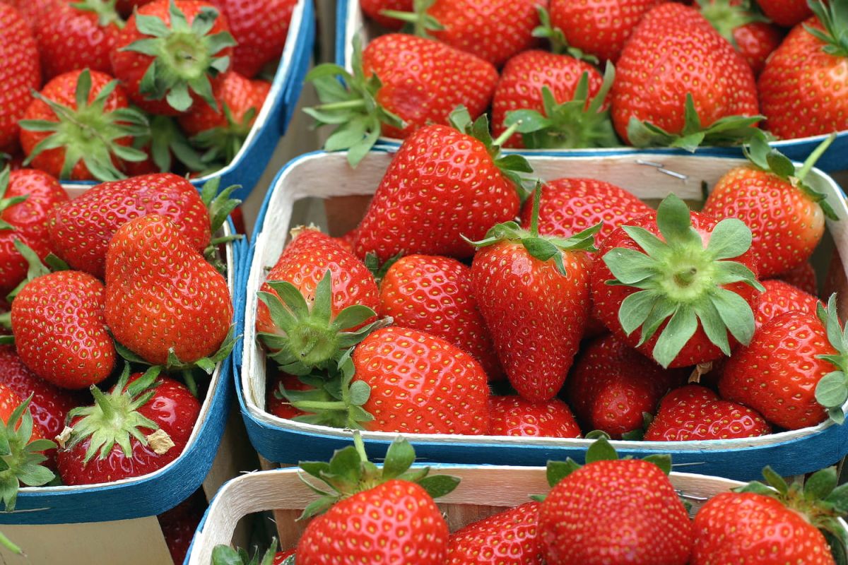 Comment choisir des fraises vraiment savoureuses en un clin d'œil