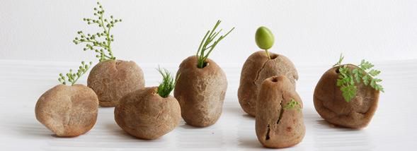 Quand la cuisine devient un art : les designers s'invitent à la table