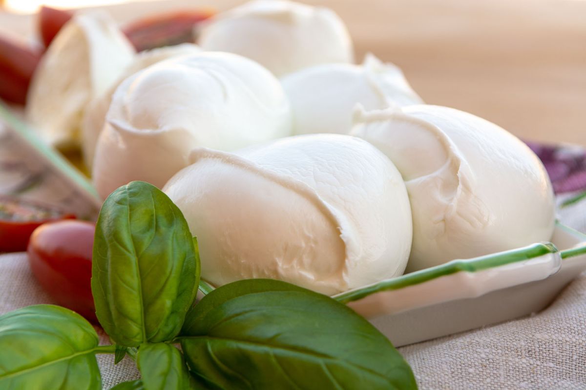 Mozzarella ou burrata : le défi des fromages italiens
