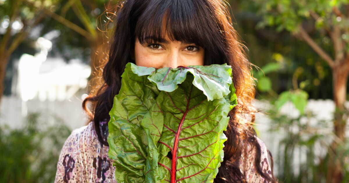 Renforcez votre immunité : les aliments incontournables pour affronter l’hiver