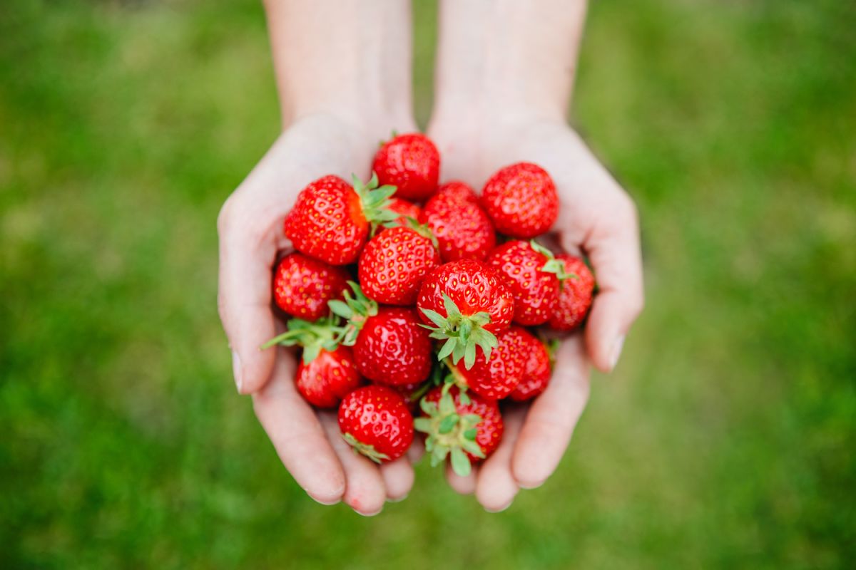 Pourquoi céder à vos envies de fraises est une bonne idée