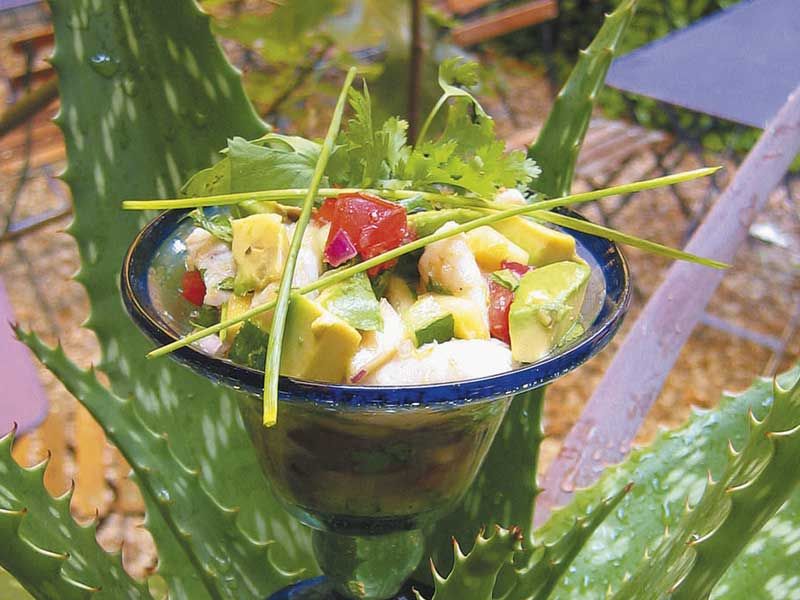 tartares et carpaccios : des recettes légères pour se régaler