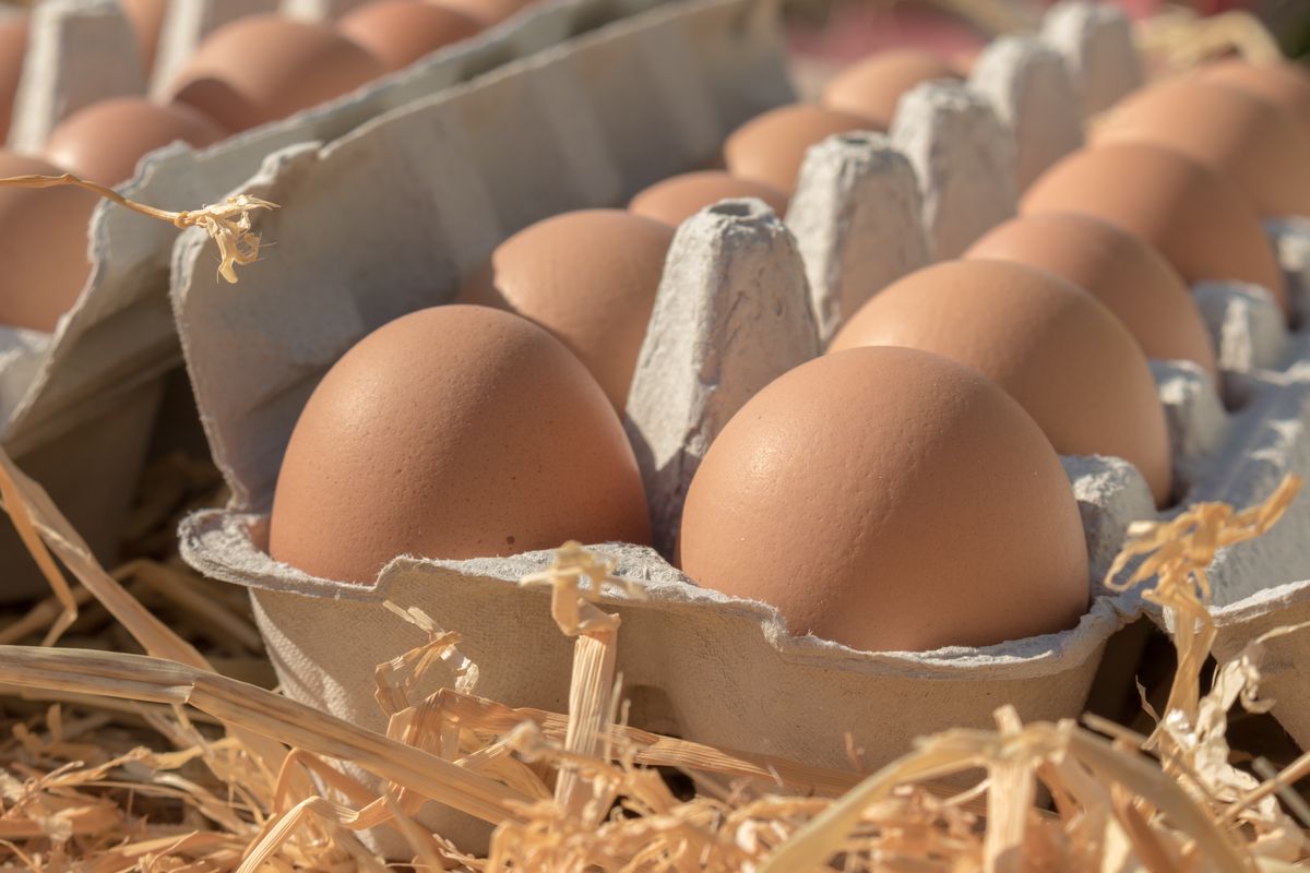 Pourquoi la boîte à œufs est essentielle, selon une virologue