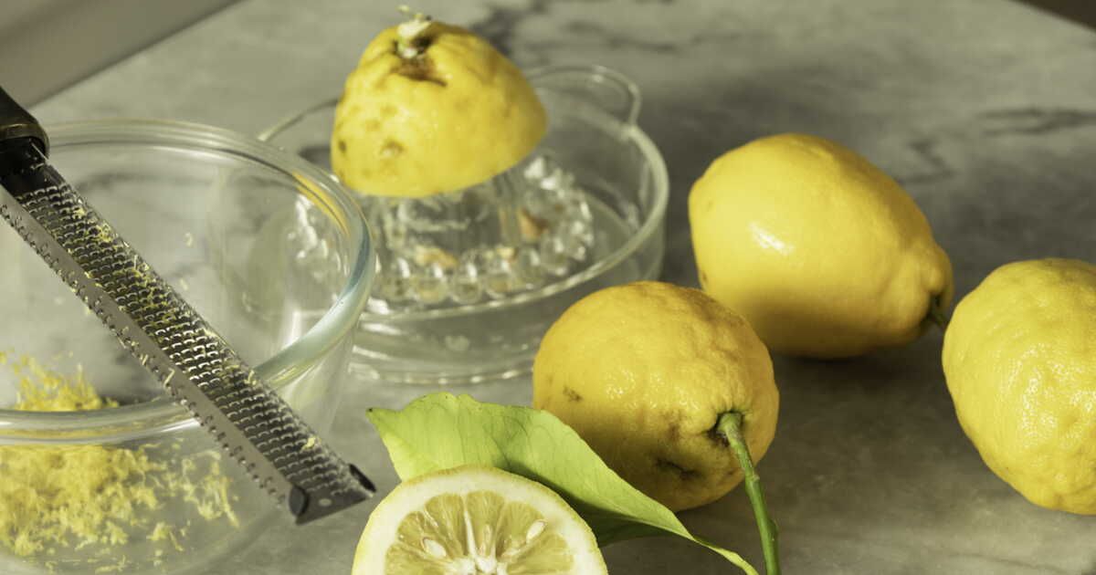 Le citron de Menton : un trésor de la Côte d'Azur