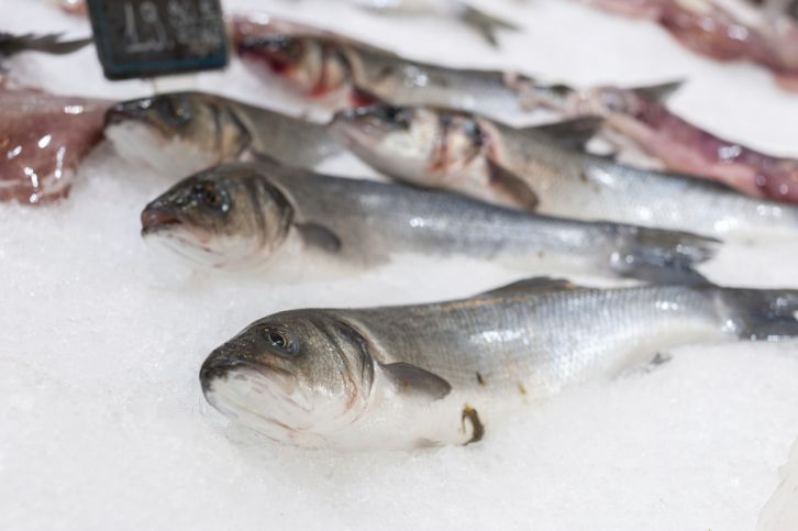 Mercure dans l'Atlantique Nord : une menace pour nos poissons